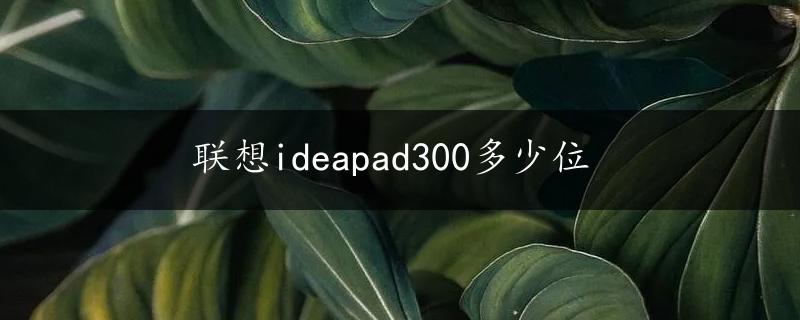 联想ideapad300多少位