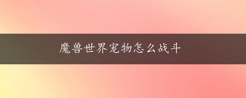 魔兽世界宠物怎么战斗