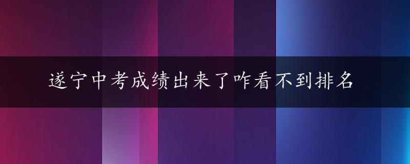 遂宁中考成绩出来了咋看不到排名