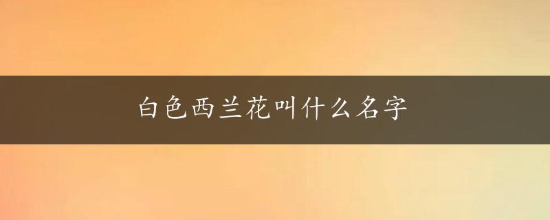 白色西兰花叫什么名字