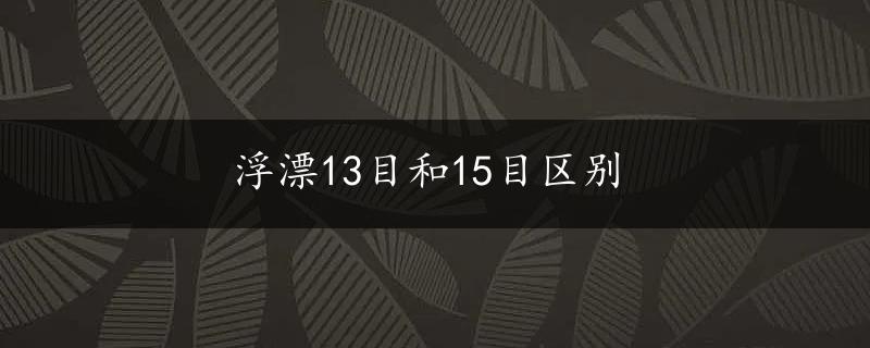 浮漂13目和15目区别