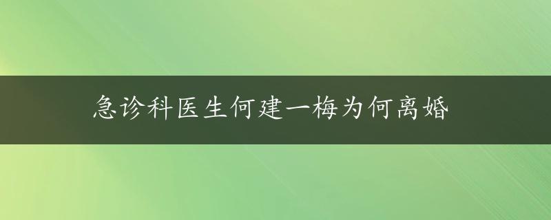 急诊科医生何建一梅为何离婚