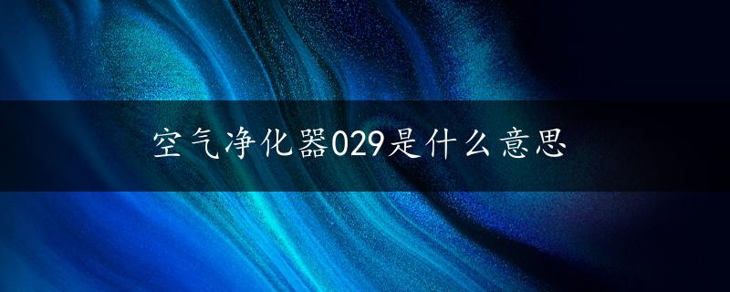 空气净化器029是什么意思