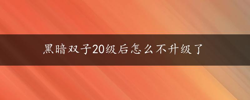 黑暗双子20级后怎么不升级了