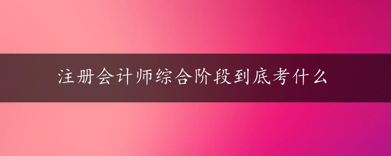 注册会计师综合阶段到底考什么