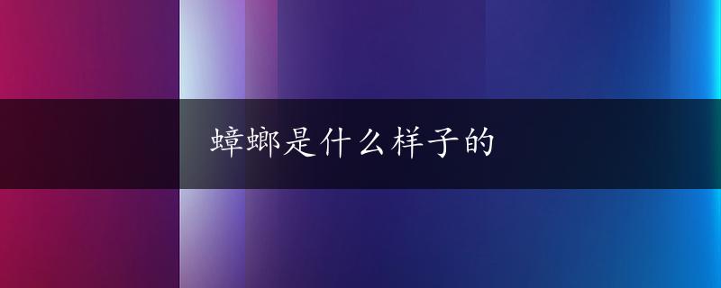 蟑螂是什么样子的