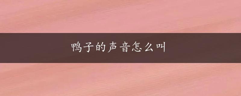 鸭子的声音怎么叫