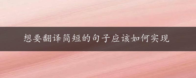 想要翻译简短的句子应该如何实现