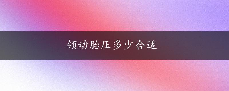 领动胎压多少合适