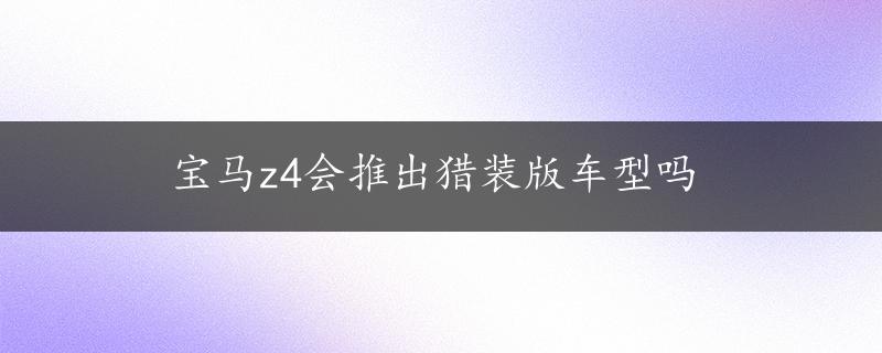 宝马z4会推出猎装版车型吗