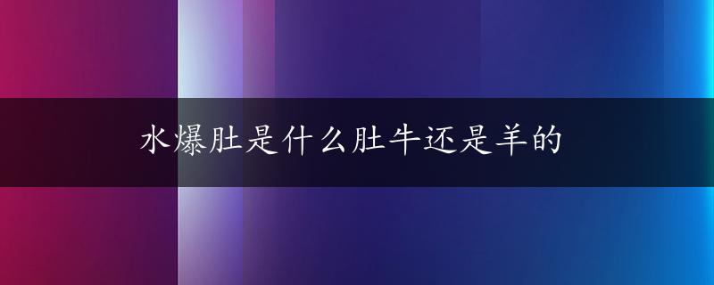 水爆肚是什么肚牛还是羊的