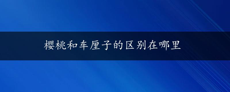 樱桃和车厘子的区别在哪里