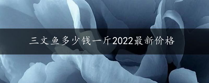 三文鱼多少钱一斤2022最新价格