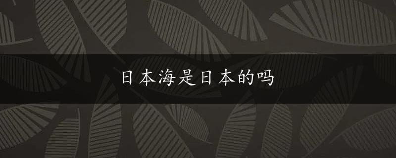 日本海是日本的吗