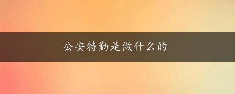 公安特勤是做什么的