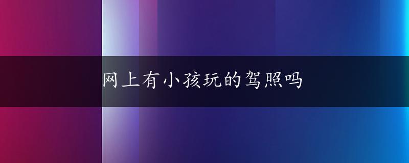 网上有小孩玩的驾照吗