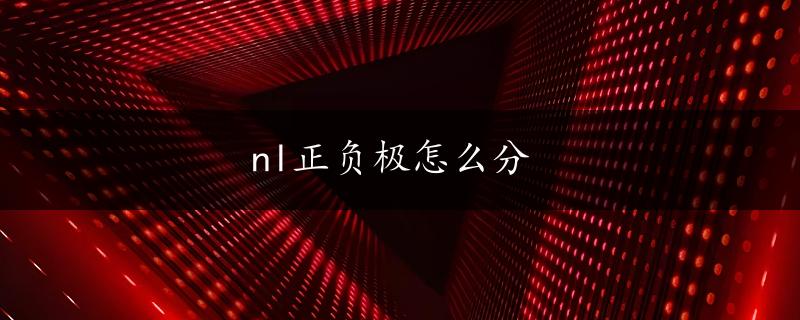 nl正负极怎么分