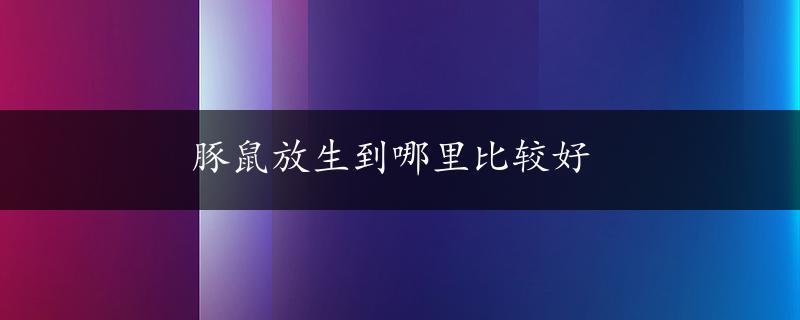 豚鼠放生到哪里比较好