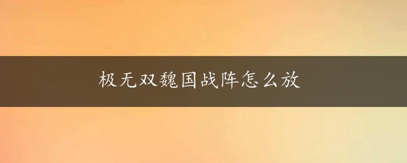 极无双魏国战阵怎么放