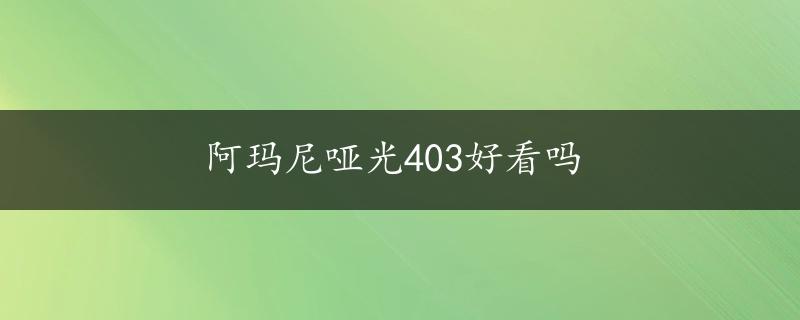 阿玛尼哑光403好看吗