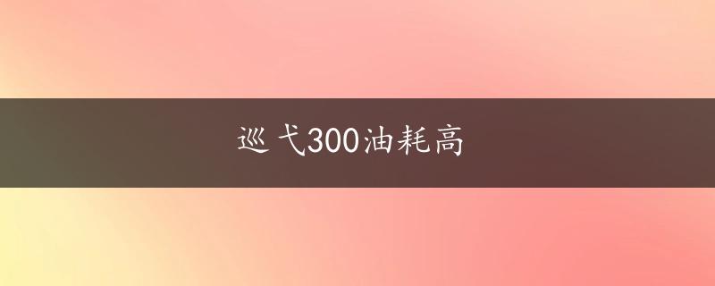 巡弋300油耗高