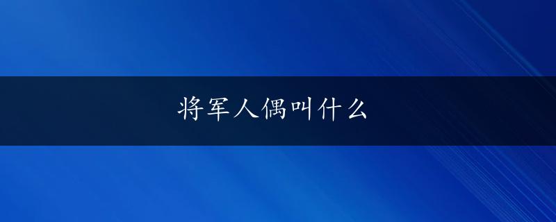 将军人偶叫什么