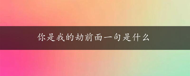 你是我的劫前面一句是什么