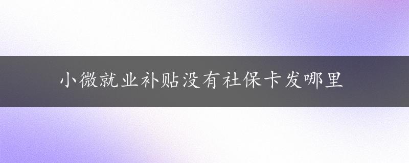 小微就业补贴没有社保卡发哪里