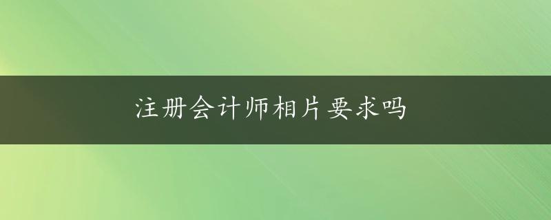 注册会计师相片要求吗