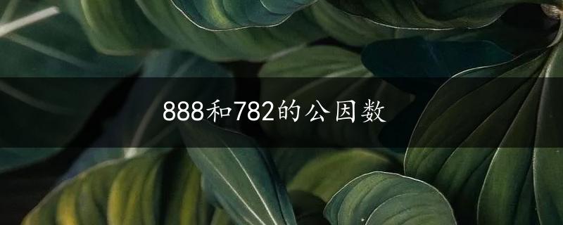 888和782的公因数