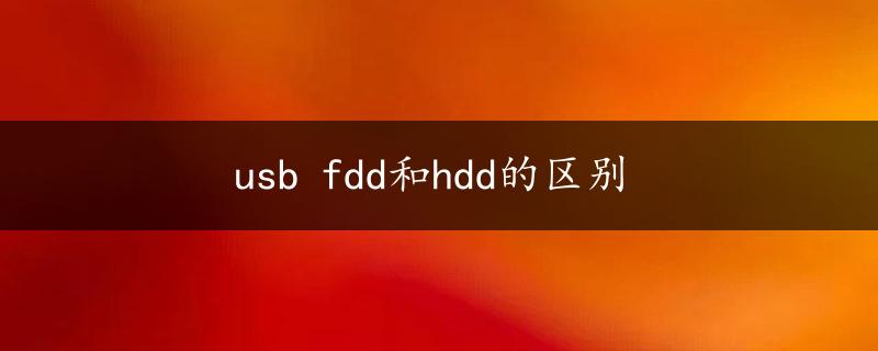 usb fdd和hdd的区别