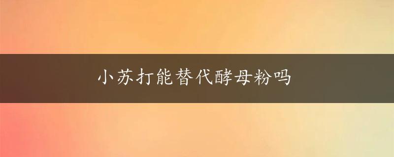 小苏打能替代酵母粉吗