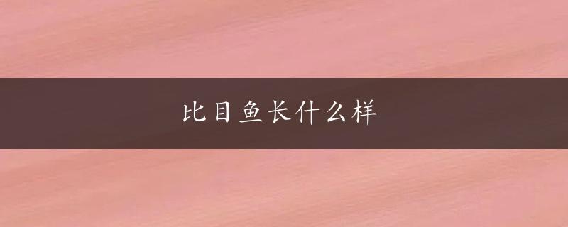 比目鱼长什么样