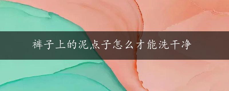 裤子上的泥点子怎么才能洗干净