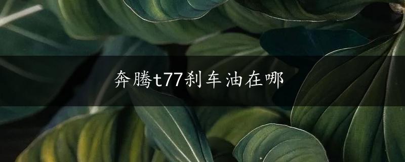 奔腾t77刹车油在哪