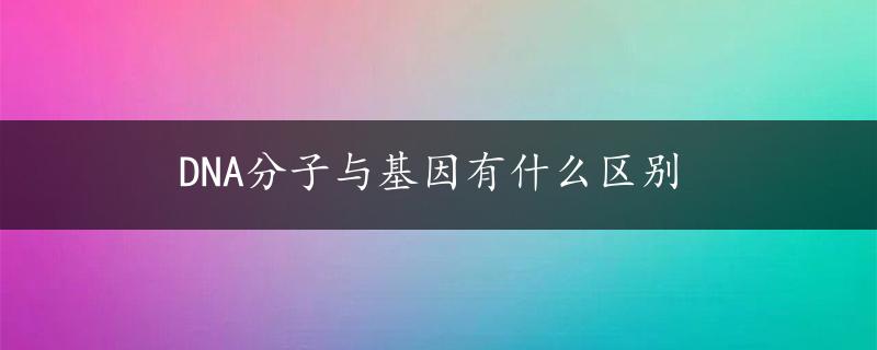 DNA分子与基因有什么区别