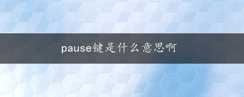 pause键是什么意思啊