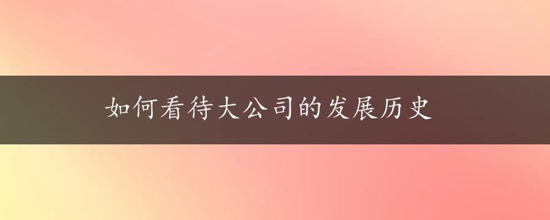 如何看待大公司的发展历史