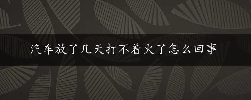 汽车放了几天打不着火了怎么回事