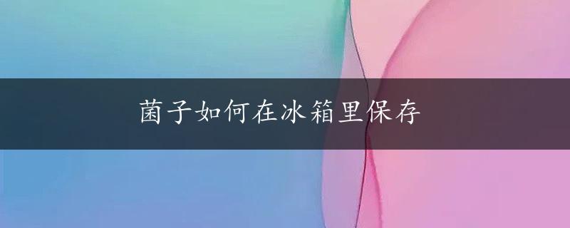 菌子如何在冰箱里保存