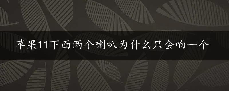 苹果11下面两个喇叭为什么只会响一个