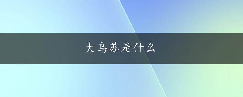 大乌苏是什么