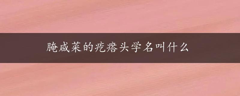 腌咸菜的疙瘩头学名叫什么