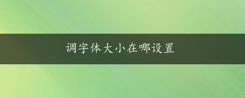 调字体大小在哪设置