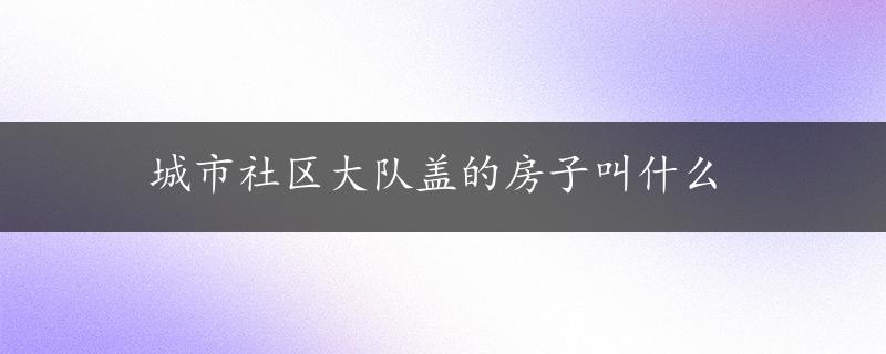 城市社区大队盖的房子叫什么