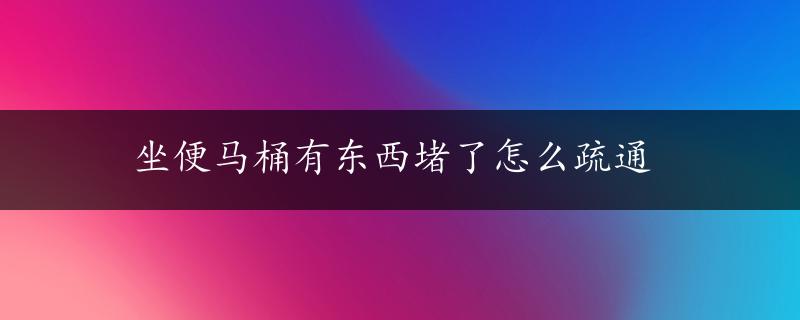 坐便马桶有东西堵了怎么疏通