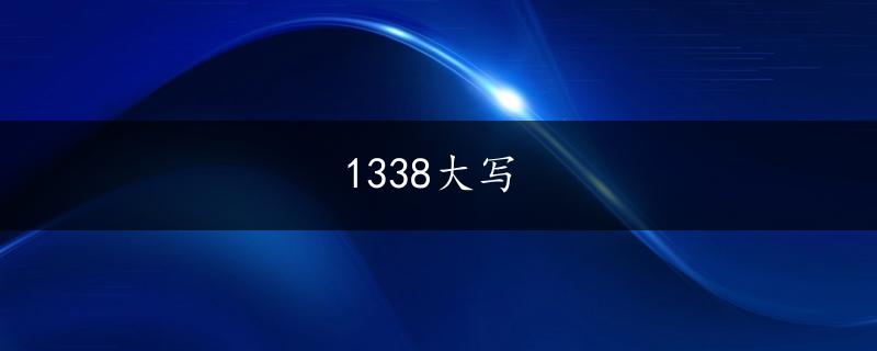 1338大写