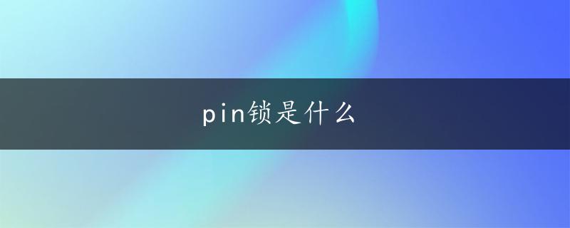 pin锁是什么