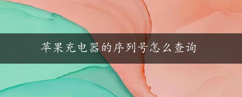 苹果充电器的序列号怎么查询