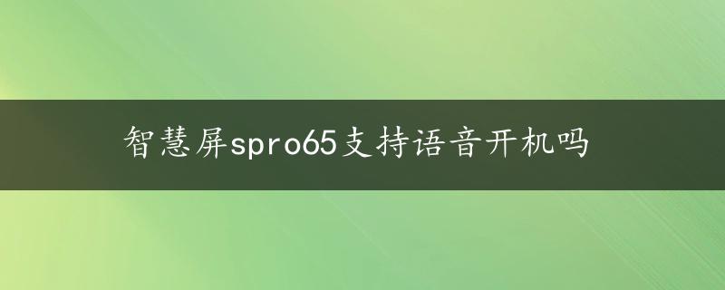 智慧屏spro65支持语音开机吗